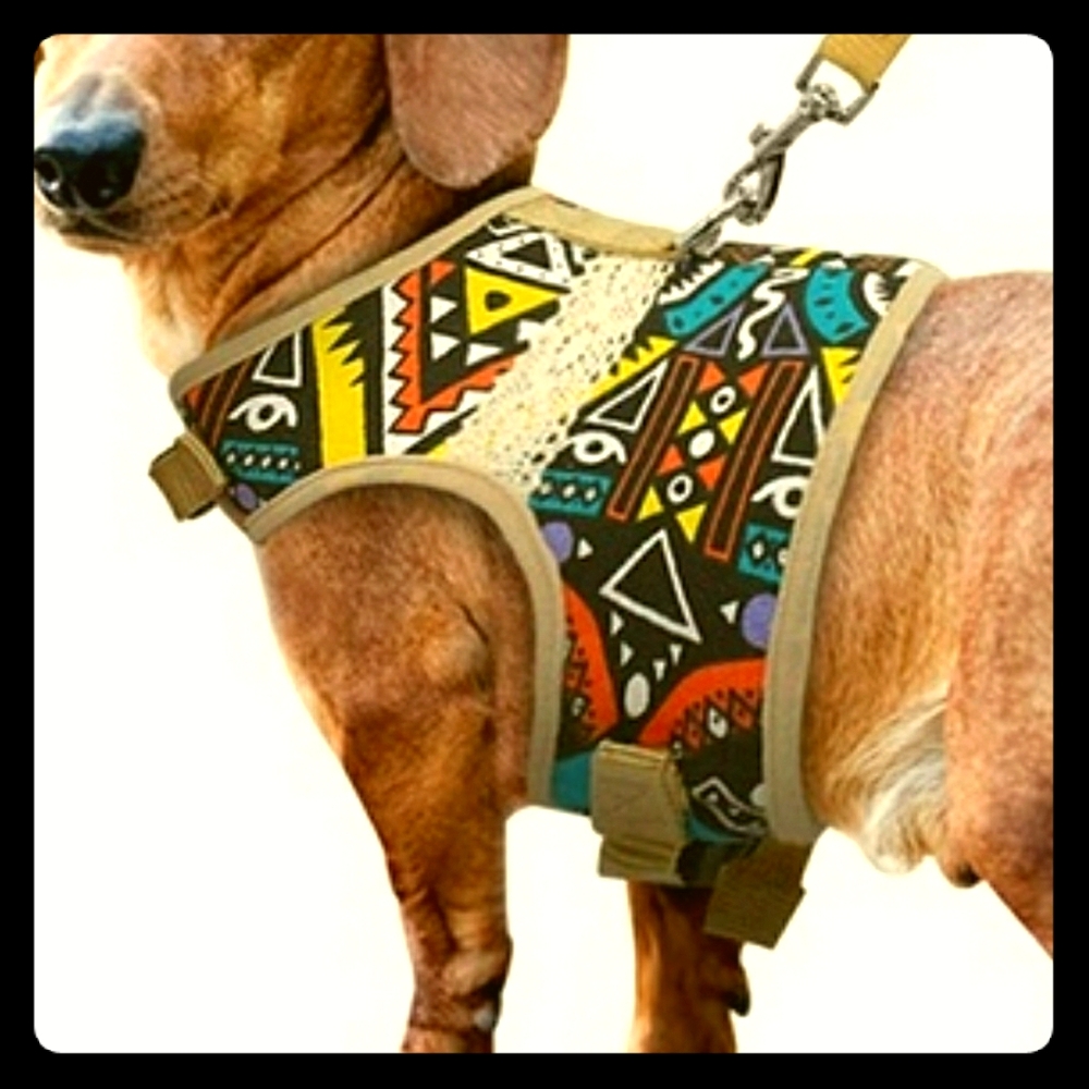 Geometric dog Harness